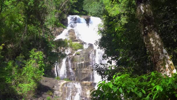 Nähe zum Wasserfall, phuket. Thailand, Südostasien. 4k — Stockvideo