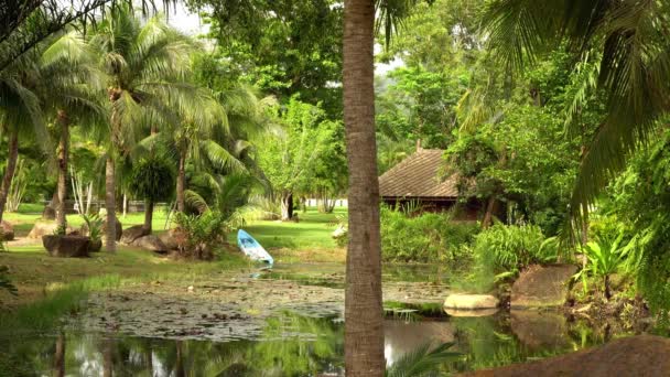 У зелені джунглі сонячної Південно-Східної Азії. Курортна зона з пальмами. Озеро з човна. 4 к — стокове відео