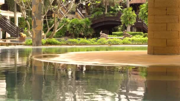 度假村温泉池。豪华泳池水疗中心矿泉水。绿树。4 k. — 图库视频影像