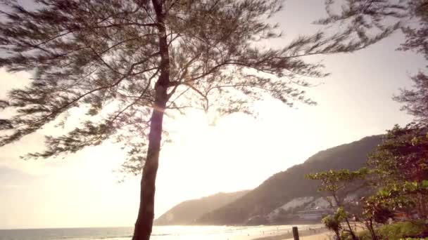 Playa tropical con árboles y montaña en un día soleado — Vídeos de Stock