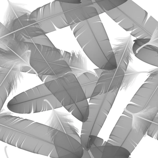 Nahtloses Muster mit grauen Federn auf weißem Hintergrund. Vektorillustration — Stockvektor