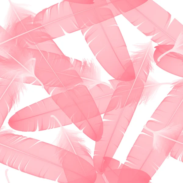 Бесшовный рисунок с розовыми перьями на белом фоне. векторная иллюстрация — стоковый вектор