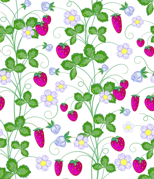 Vector hand drawn seamless strawberry pattern. — Stockvector