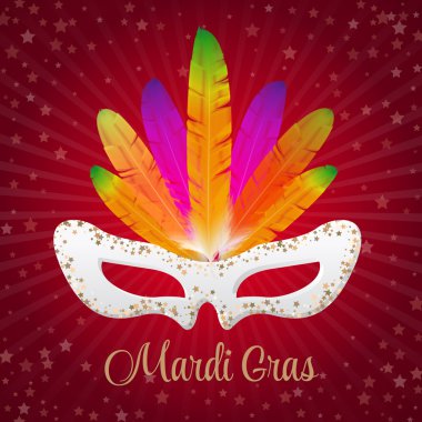 Mardi Gras vector mask with colorful feathers  isolated on purple and stars, rays