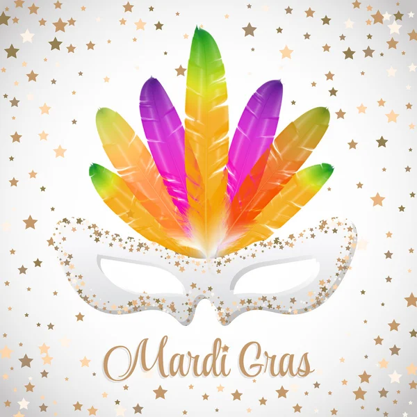 Mardi gras vektormaske mit bunten federn isoliert auf weißen und goldenen sternen — Stockvektor