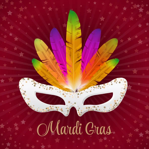 Mardi Gras vector mask with colorful feathers  isolated on purple and stars, rays — Stock vektor