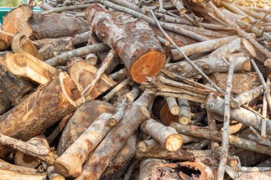 Evi ısıtmak için hazırlanmış odun yığını, kışın ısınmak için toplanmış odun yığını, yığılmış odun yığını ve kış için hazırlanmış odun yığını..