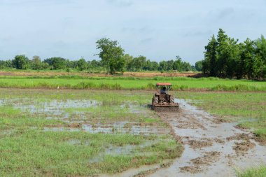 Tarım pirinç tarlası, traktör arabası, doğa geçmişi..