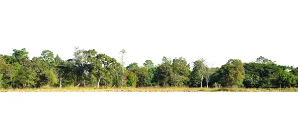 Panorama Widok Wysokiej Rozdzielczości Treeline Izolowane Białym Tle — Zdjęcie stockowe