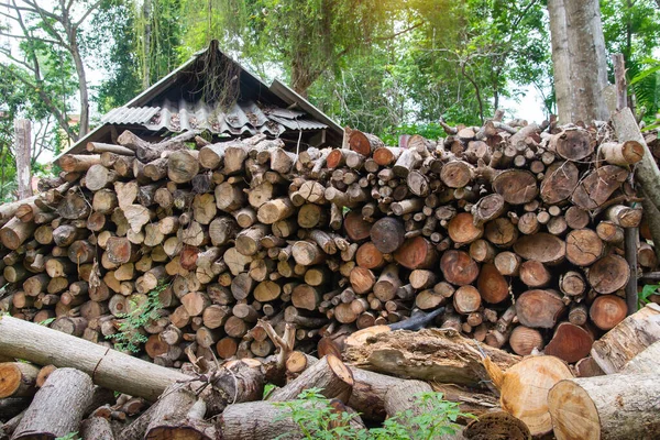 Uma Pilha Lenha Empilhada Preparada Para Aquecer Casa Recolha Lenha — Fotografia de Stock