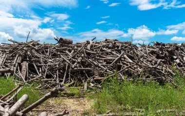 Evi ısıtmak için hazırlanmış odun yığını, kışın ısınmak için toplanmış odun yığını, yığılmış odun yığını ve kış için hazırlanmış odun yığını..