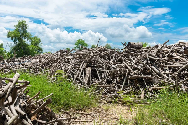 Una Pila Legna Ardere Accatastata Preparata Riscaldare Casa Legna Ardere — Foto Stock