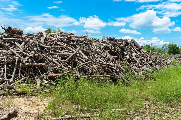 Evi Isıtmak Için Hazırlanmış Odun Yığını Kışın Isınmak Için Toplanmış — Stok fotoğraf