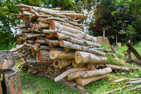 Uma Pilha Lenha Empilhada Preparada Para Aquecer Casa Lenha Colhida — Fotografia de Stock