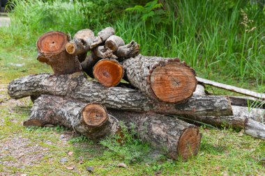 Evi ısıtmak için hazırlanmış odun yığını, kışın ısınmak için toplanmış odun yığını, yığılmış odun yığını ve kış için hazırlanmış odun yığını..