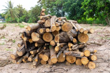 Evi ısıtmak için hazırlanmış odun yığını, kışın ısınmak için toplanmış odun yığını, yığılmış odun yığını ve kış için hazırlanmış odun yığını..