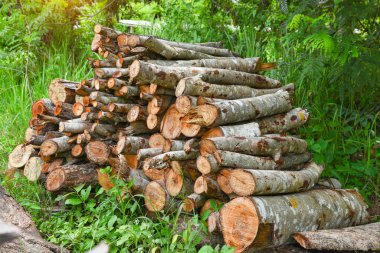 Evi ısıtmak için hazırlanmış odun yığını, kışın ısınmak için toplanmış odun yığını, yığılmış odun yığını ve kış için hazırlanmış odun yığını..