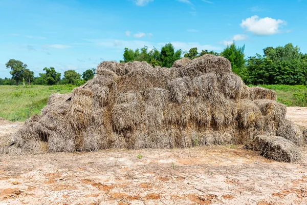 Pile Straw Stack Straw Texture Image Dry Baled Hay Bales — Stock Photo, Image