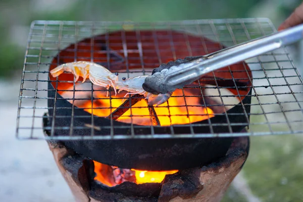 Grill Grill Kolsköldpadda Att Grilla Eldstaden — Stockfoto