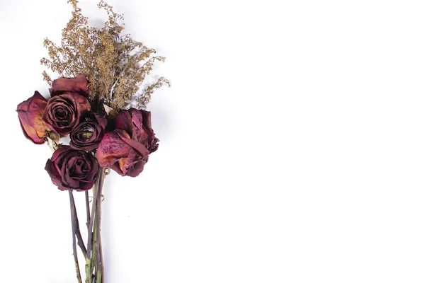 Kırmızı kurutulmuş gül yakın çekim