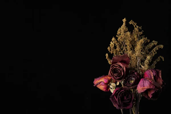 Kırmızı kurutulmuş gül yakın çekim