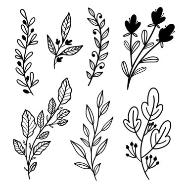 El Çizgisi Sanat Yaprak Elementi Vektör Koleksiyonu