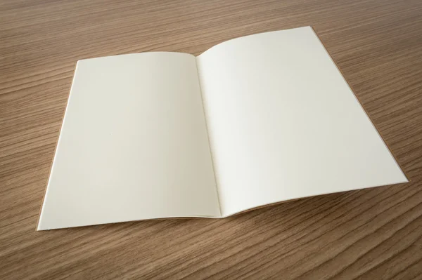 Libro abierto en blanco —  Fotos de Stock