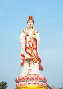 Guan yin
