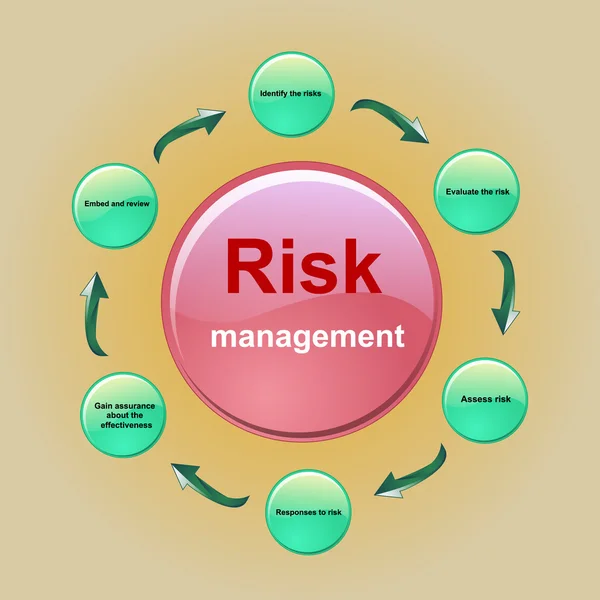 Cyklus řízení rizik. — Stockový vektor