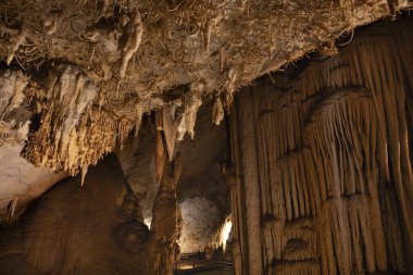 Bizkaia, Bask Bölgesi 'ndeki Pozalagua Mağarası. Eksantrik sarkıtlar