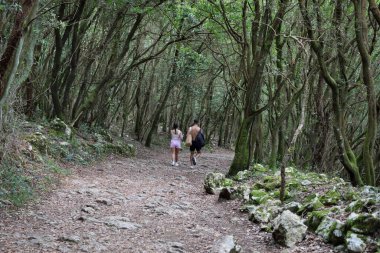 Bir çift, At Feneri Patikası 'ndaki ağaçların arasında yürüyor..
