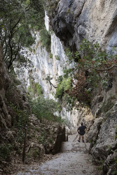 Faro del Caballo yolunda bir kişi yürüyor. Doğanın merdivenleri.