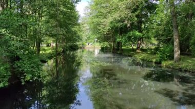 Sessiz yeşil park nehri