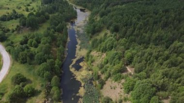 Ormandaki taş ocağı nehri