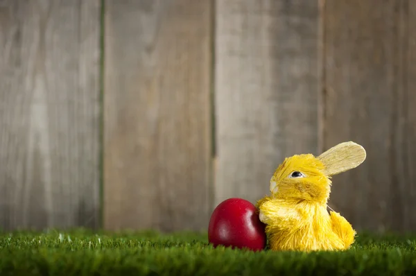 Påskharen med röda ägg på gräs — Stockfoto