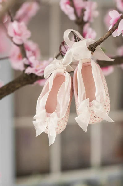 Pink baby booties with bow ribbon — Stock Photo, Image