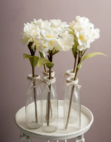 Bílé orchideje ve skleněné láhvi — Stock fotografie