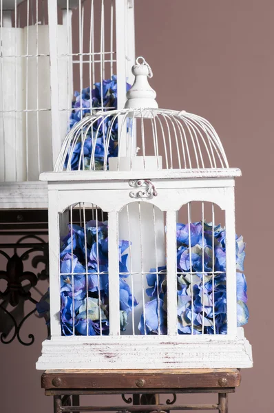Bílé dřevěné Ptačí klece s modrou hortenzií — Stock fotografie