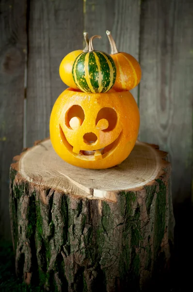 Calabaza de Halloween —  Fotos de Stock