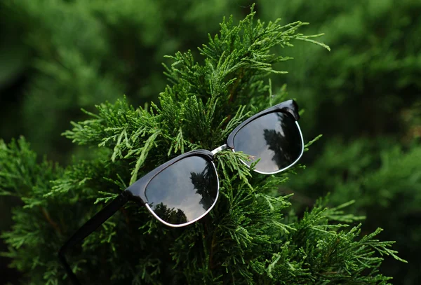Als gevolg van retro zonnebril op groene bont-boom. — Stockfoto
