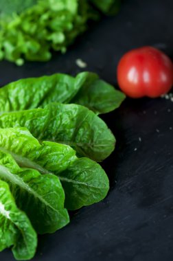 Taze yeşil çünkü marul koyu arka plan üzerine.