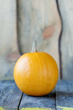 Ahşap kurullarında kabak.