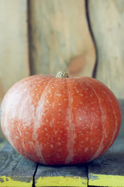 Big pumpkin on wooden boards. — Stock Photo, Image