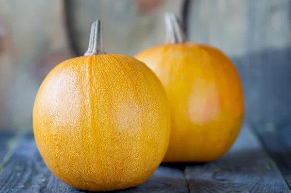 Two pumpkins lie on wooden board — Stock Photo, Image