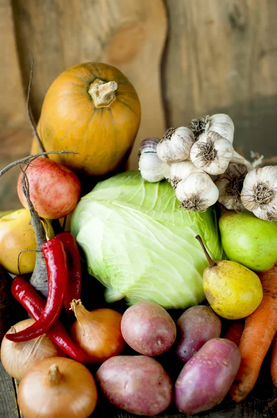 Autumn harvest on wooden boards — Stock Photo, Image