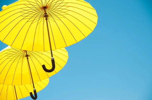 Gelbe Regenschirme — Stockfoto