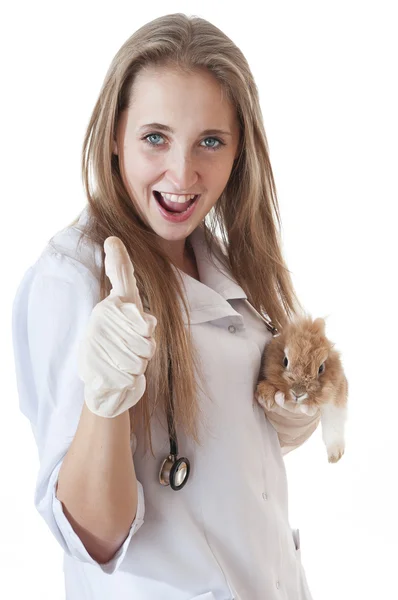 Young veterinarian doctor with pet brown rabbit — Φωτογραφία Αρχείου