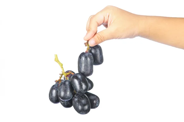 Ramasser à la main délicieux et frais raisin noir sans pépins isolé sur w — Photo