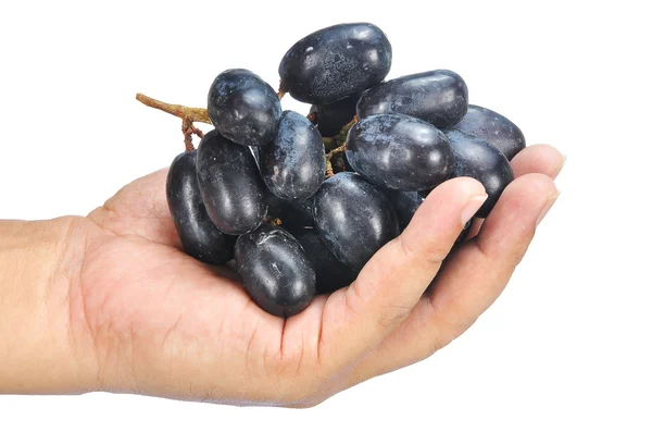 Mão segurando deliciosa e fresca uva sem sementes preta isolada o — Fotografia de Stock
