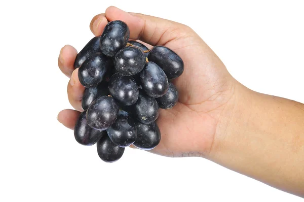 Mano tenendo deliziosa e fresca uva nera senza semi isolato o — Foto Stock